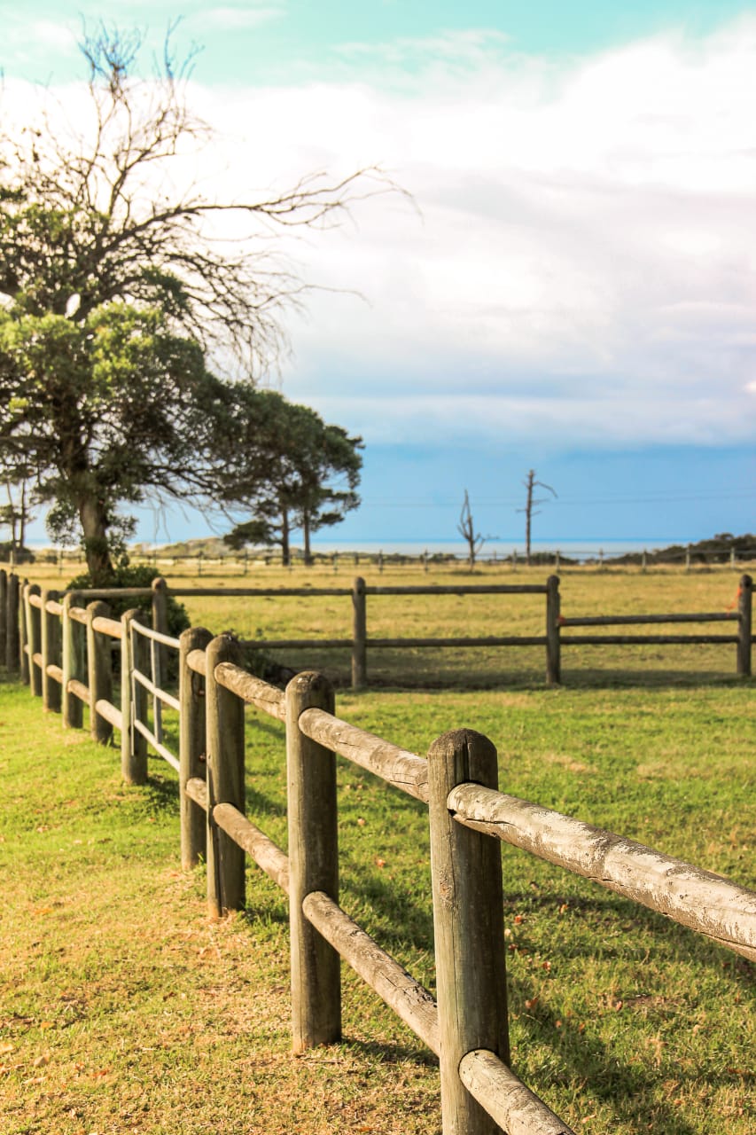 WhatsApp Image 2025-06-18 at 13.47.18_3f487dd7